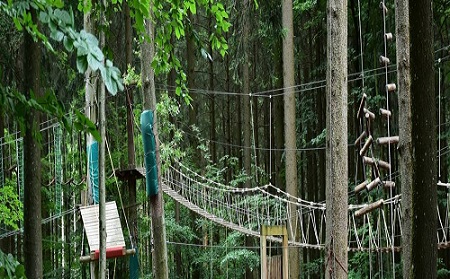 Lire la suite à propos de l’article Accrobranche